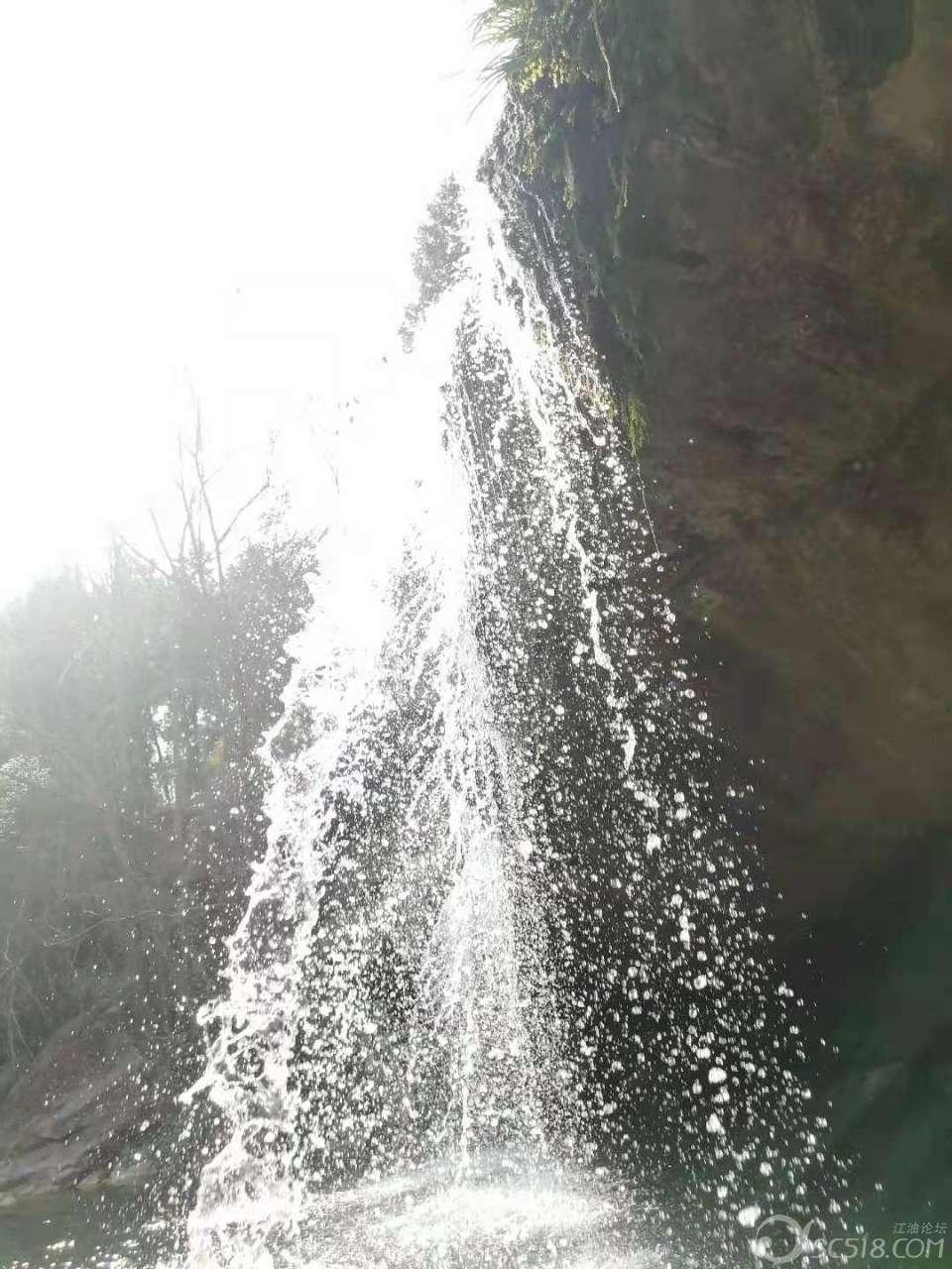 韭黄炒蛋怎么炒比较好吃呢?-机智问答网页